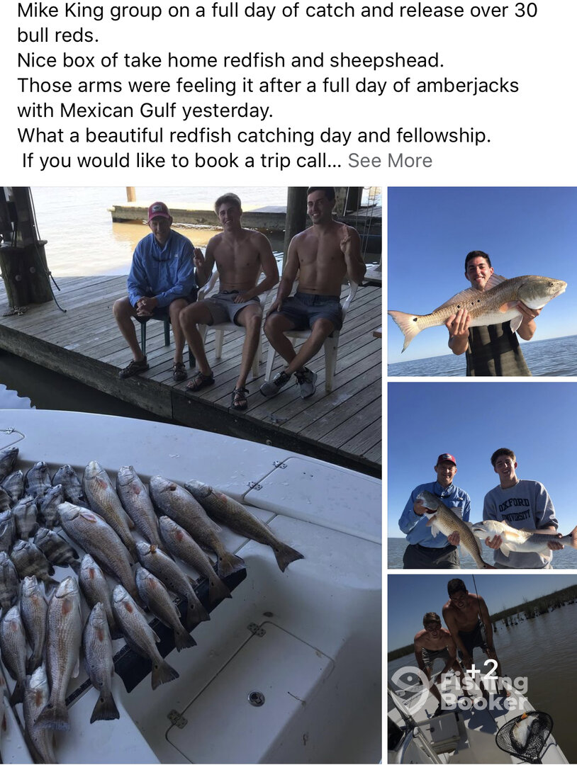 Venice Report Photo 0