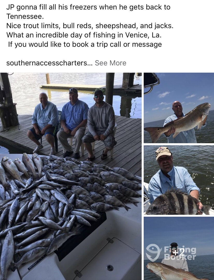 Venice Report Photo 0