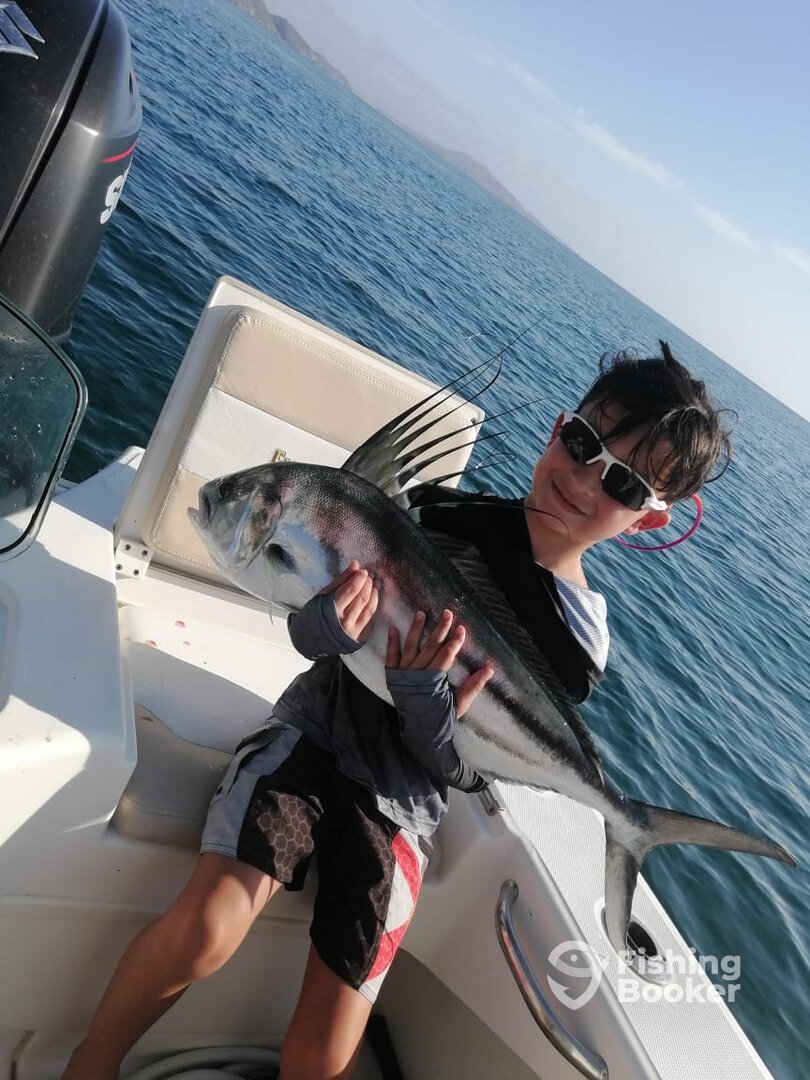 La Ventana Report Photo 0