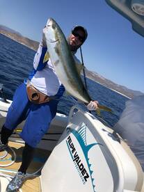 La Ventana Report Photo 2