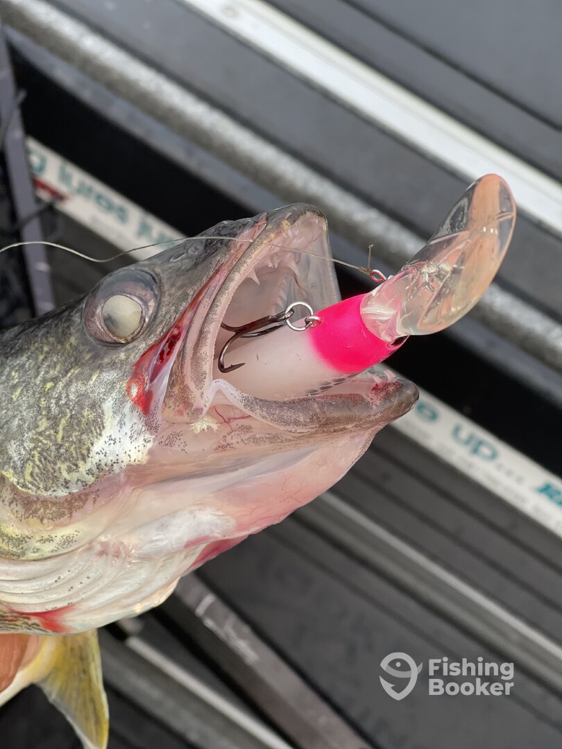 Lakeside Marblehead Report Photo 0