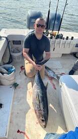 Mastic Report Photo 1