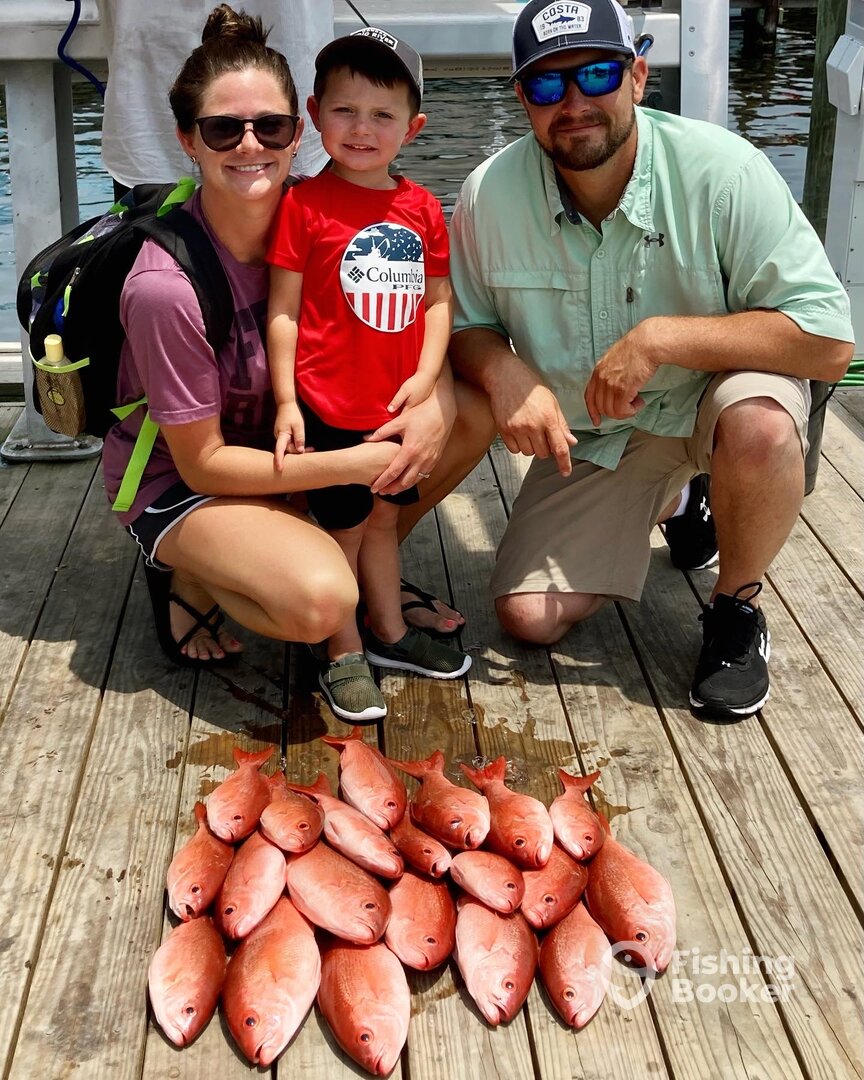 Shalimar Report Photo 0