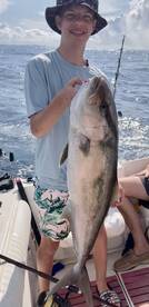 Shalimar Report Photo 1