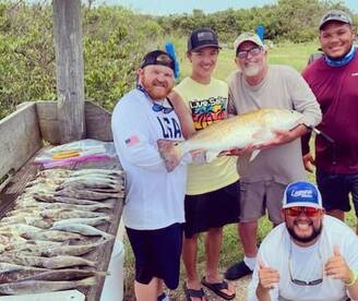 Fish are very active in the bay..