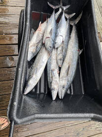 Fort Pierce Report Photo 2