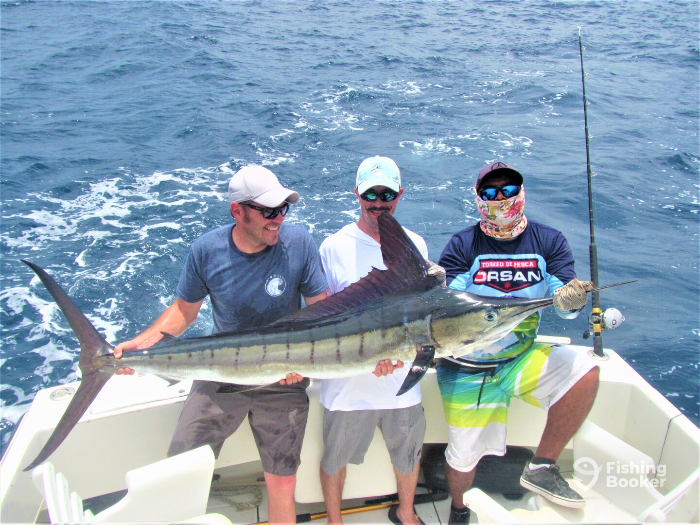 Cabo San Lucas Report Photo 0