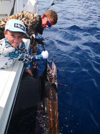 Blue Marlin, Sail, Reds and Snow Grouper