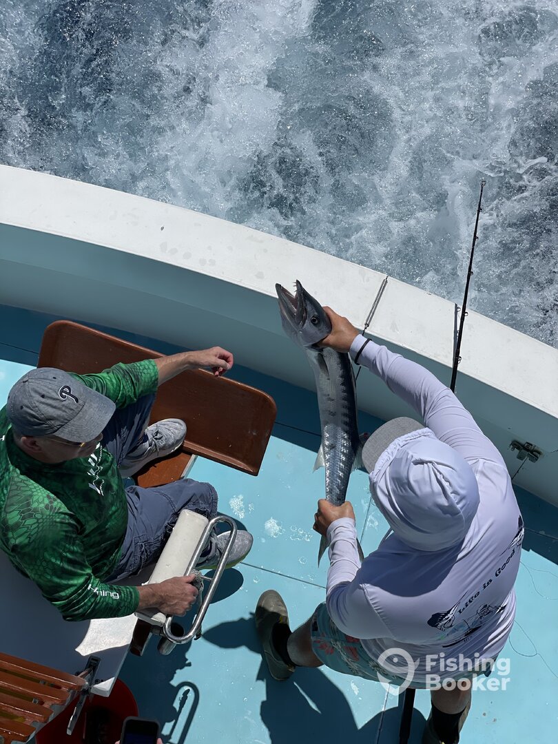 Jupiter Report Photo 0