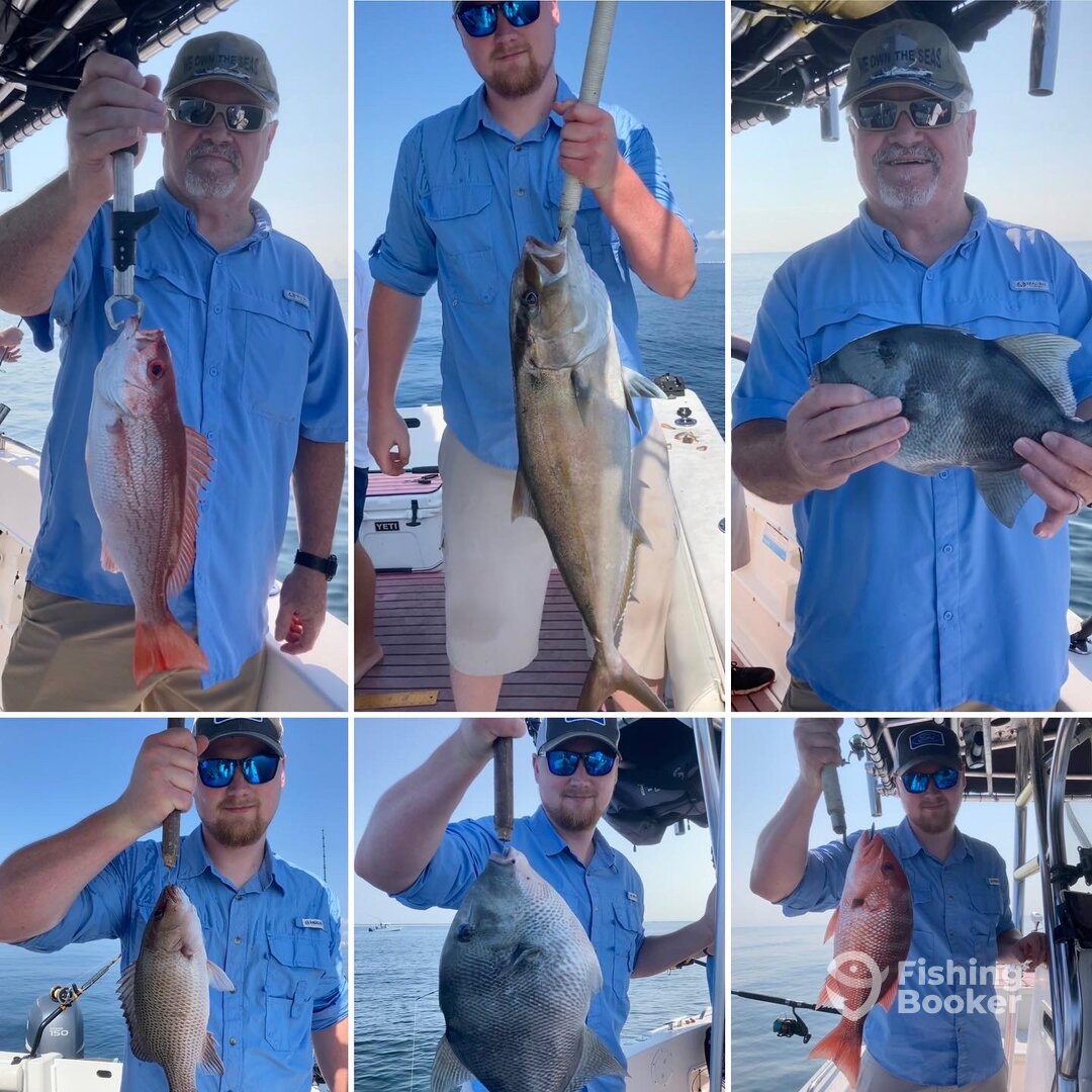 Shalimar Report Photo 0