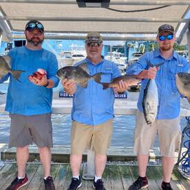 Shalimar Report Photo 1