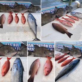 Shalimar Report Photo 2