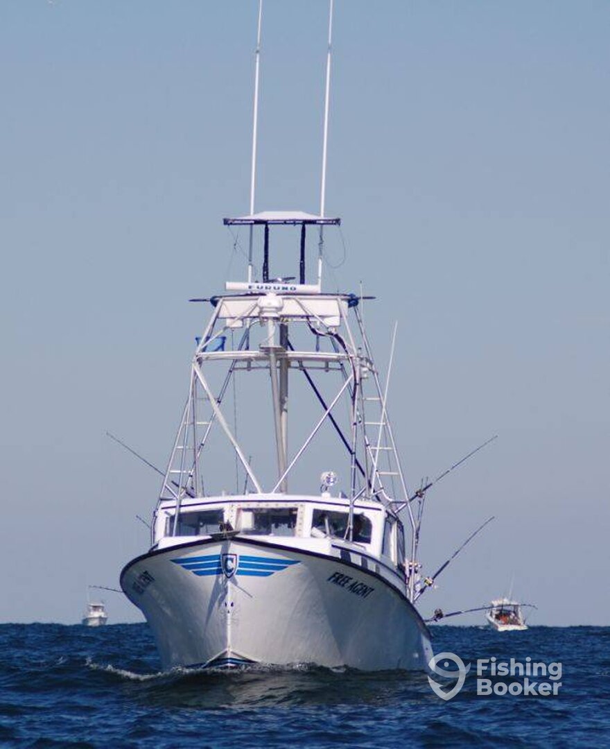 Hatteras Report Photo 0