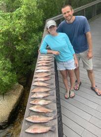 Sarasota Report Photo 2