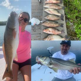 Bradenton Report Photo 1