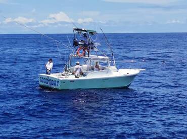 Quepos Report Photo 1