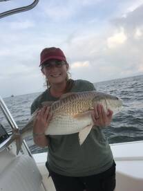 Venice Report Photo 1