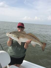 Venice Report Photo 2