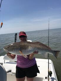 Venice Report Photo 1