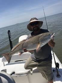 Venice Report Photo 2