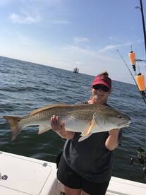 Venice Report Photo 1