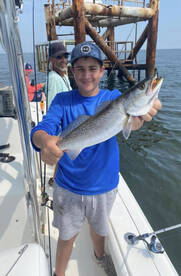 Venice Report Photo 1