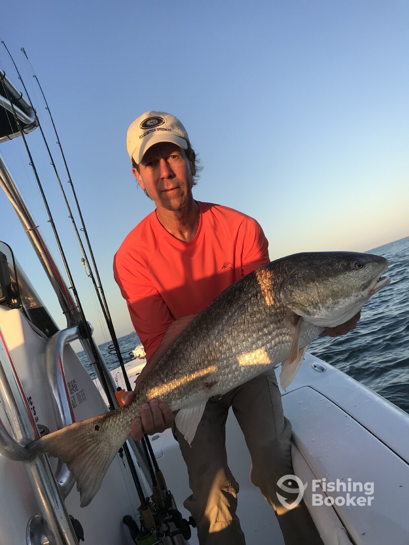 Venice Report Photo 0