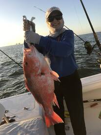 Venice Report Photo 1