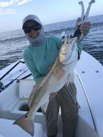 Venice Report Photo 1