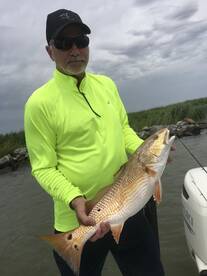 Venice Report Photo 1