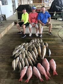 Venice Report Photo 2