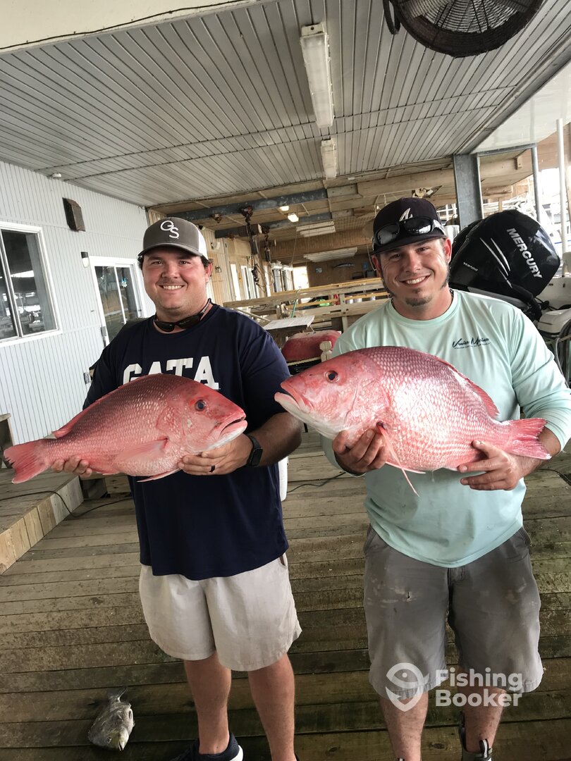 Venice Report Photo 0