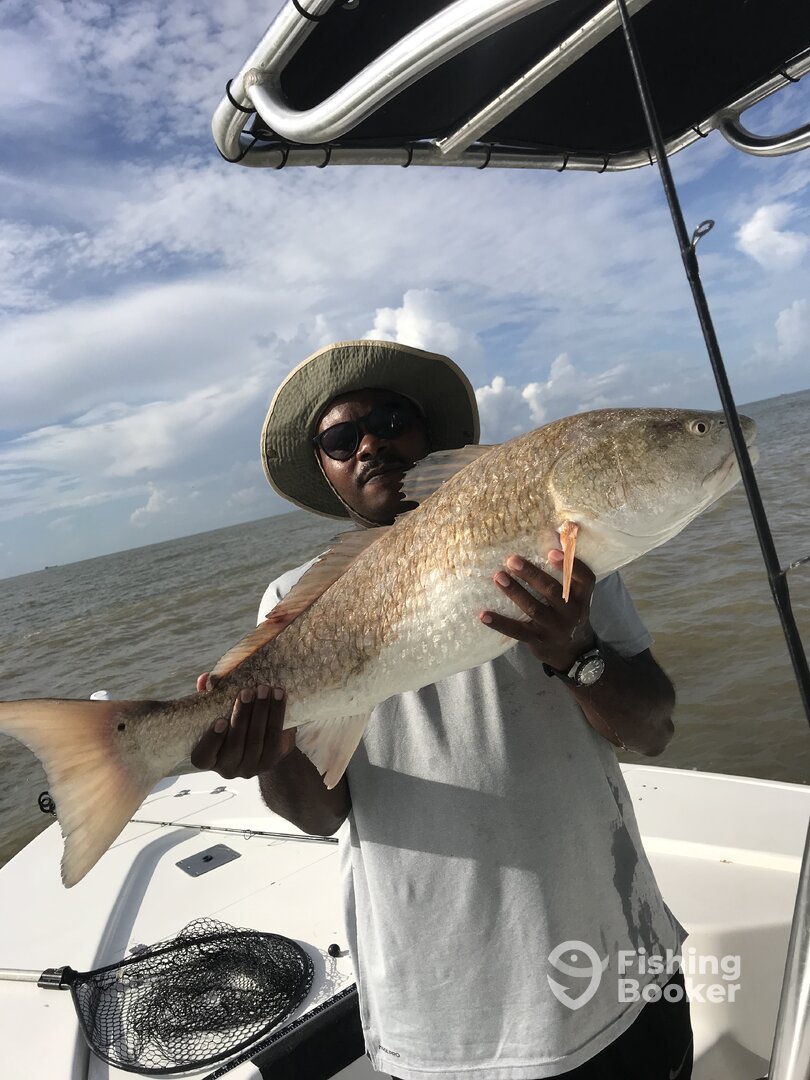 Venice Report Photo 0