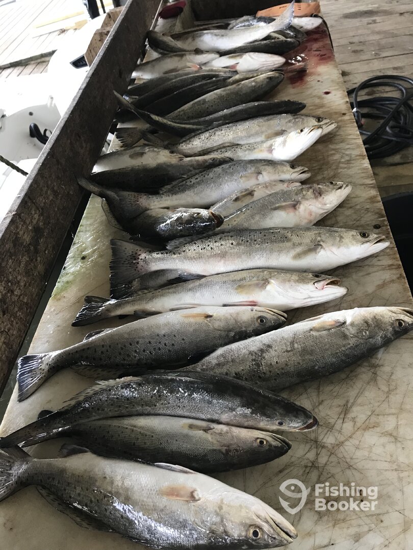 Venice Report Photo 0