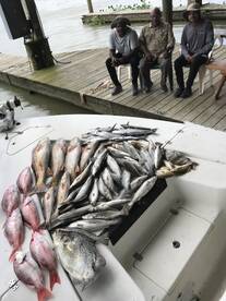 Venice Report Photo 2