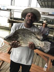 Venice Report Photo 1