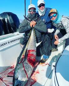 Great sign of Big Bluefin