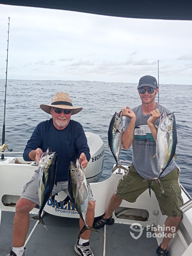 San Jose del Cabo Report Photo 0