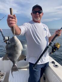 Shalimar Report Photo 2