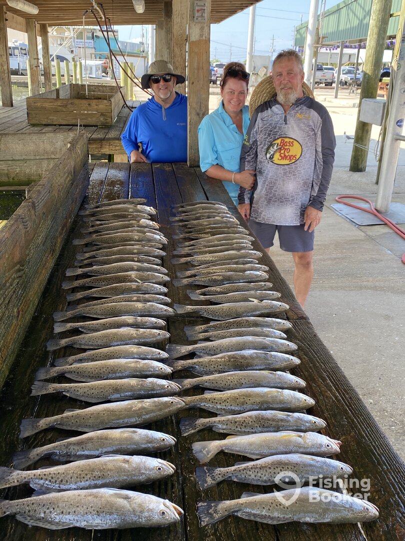 Venice Report Photo 0