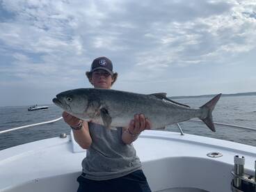 Dennis Report Photo 1