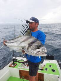 Puerto Jiménez Report Photo 2