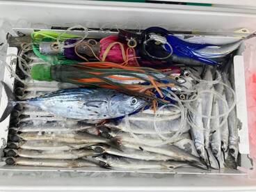 Quepos Report Photo 2