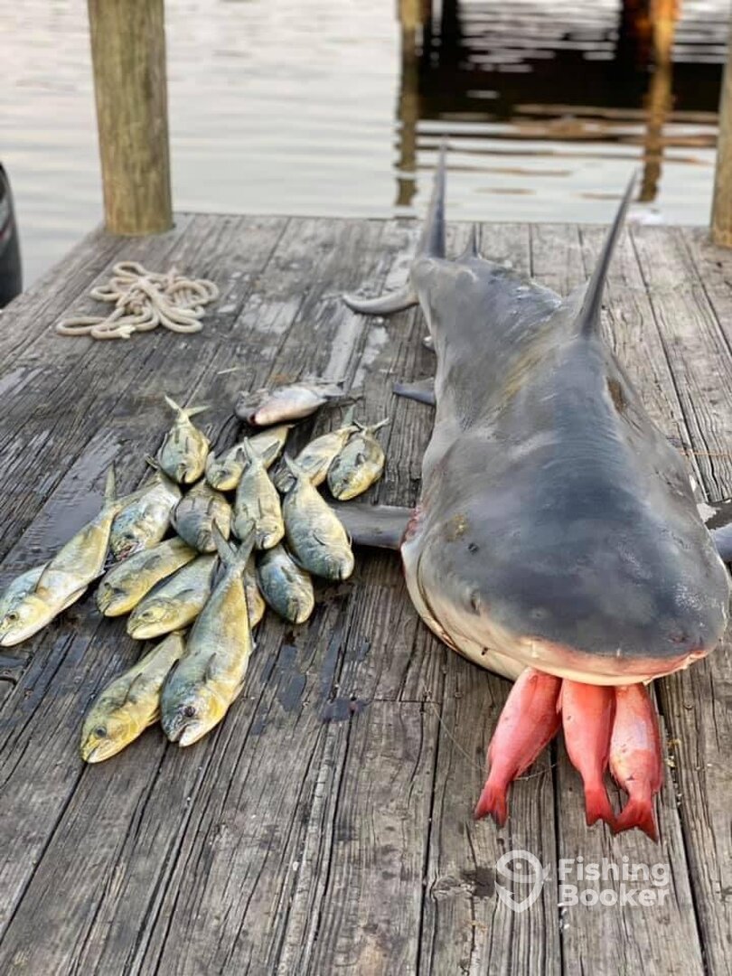 Pensacola Report Photo 0