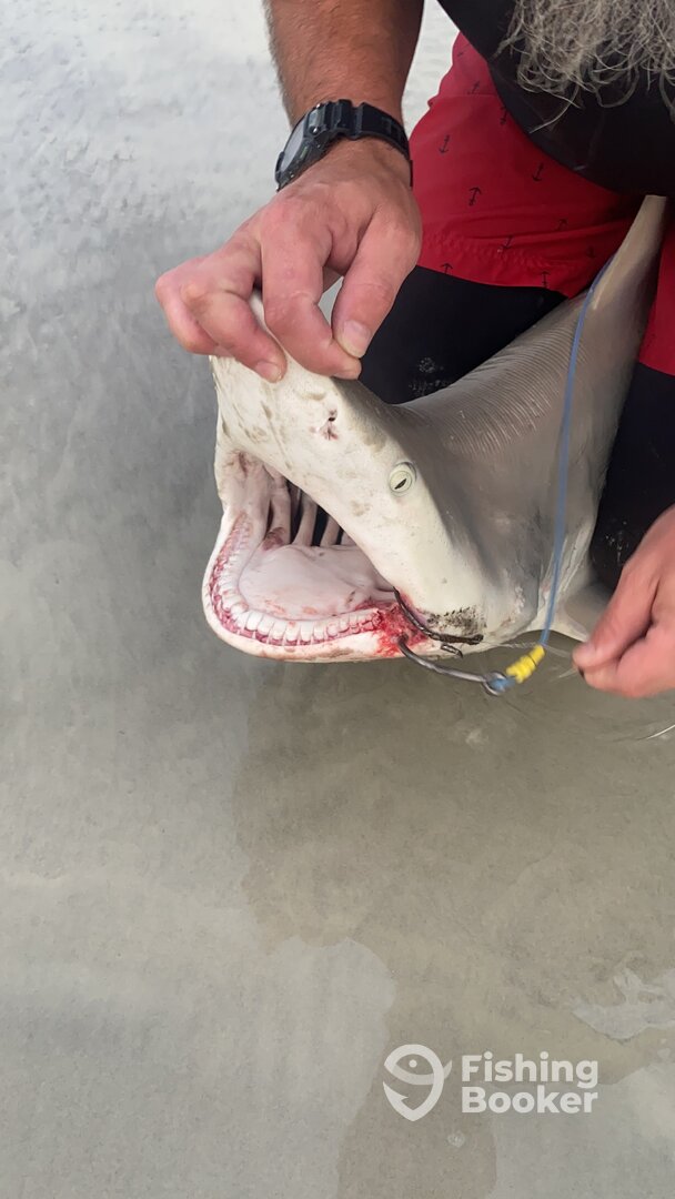 New Smyrna Beach Report Photo 0