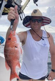 Shalimar Report Photo 2