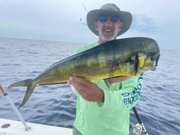 Buenavista Report Photo 2