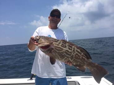 Groupers and Big Snappers