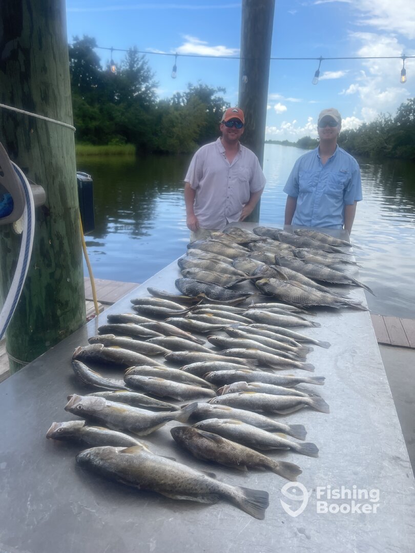 St. Bernard Report Photo 0