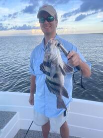 St. Bernard Report Photo 2